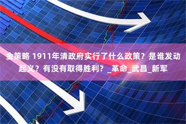 金策略 1911年清政府实行了什么政策？是谁发动起义？有没有取得胜利？_革命_武昌_新军