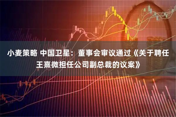 小麦策略 中国卫星：董事会审议通过《关于聘任王熹微担任公司副总裁的议案》