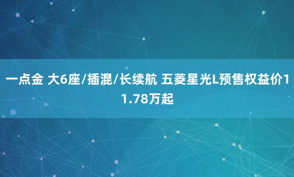 一点金 大6座/插混/长续航 五菱星光L预售权益价11.78万起