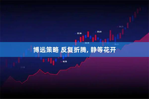 博远策略 反复折腾, 静等花开